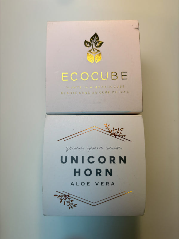 15. EcoCube - Aloe Vera