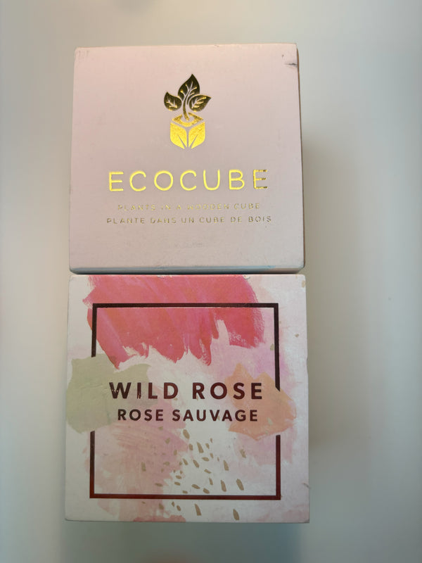 16. EcoCube - Wild Rose