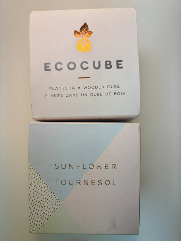 17. EcoCube Sunflower