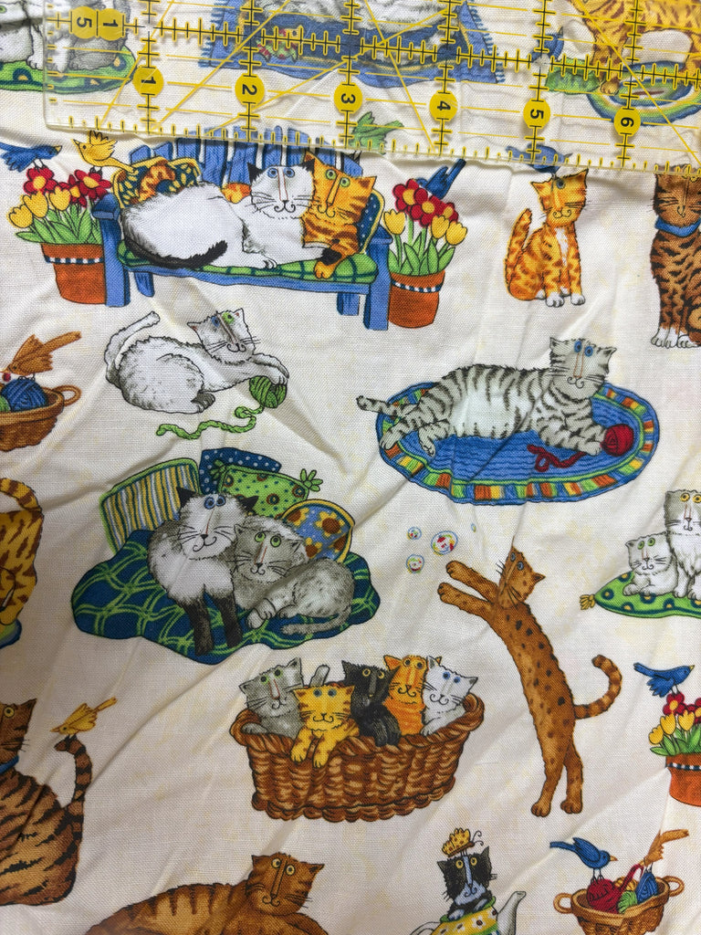 Cats with white background
